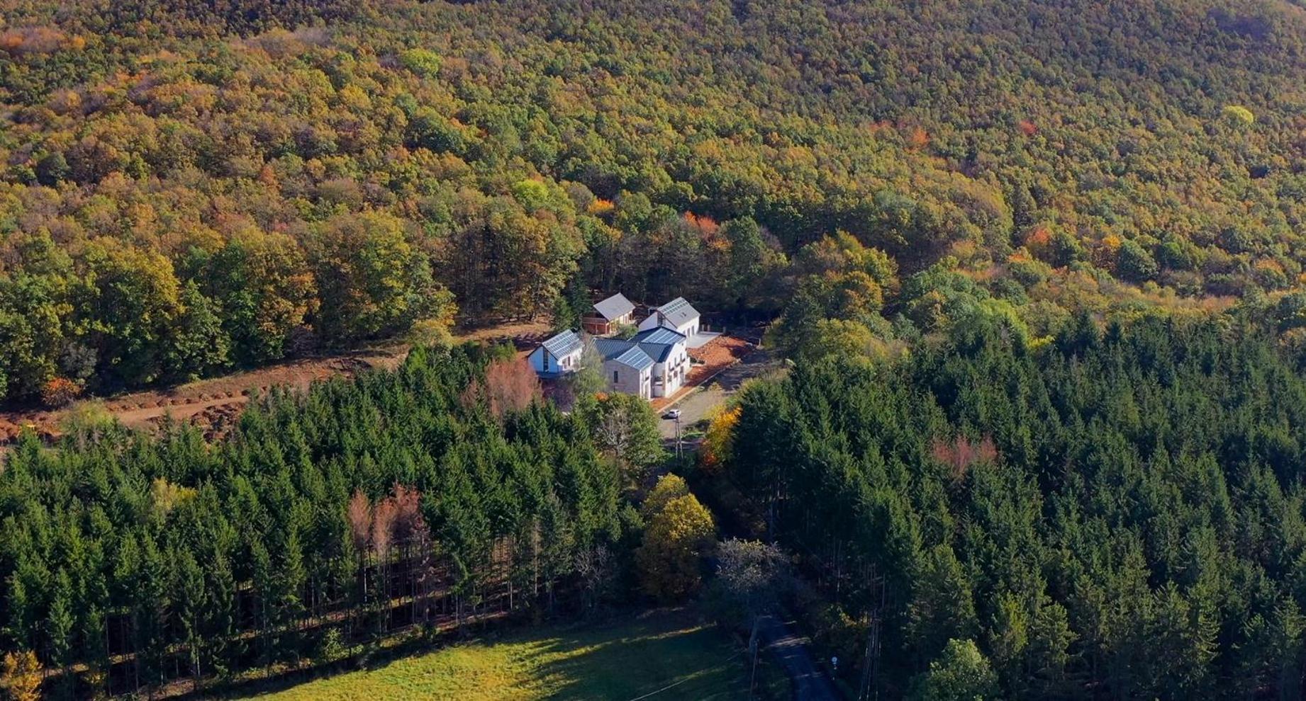 Szent Orban Erdei Wellness Hotel Es Residence Kóspallag Exteriör bild